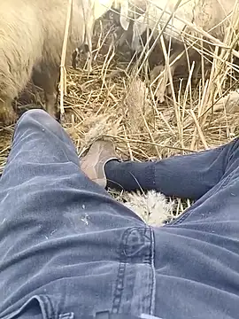 murokkk31 online show from October 29, 2025, 9:33 am