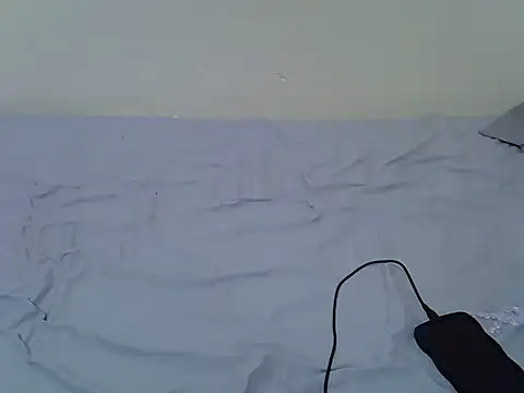 tasty piee online show from October 25, 2025, 4:42 am