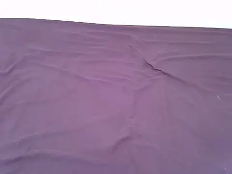 tasty piee online show from November 7, 2025, 3:17 am