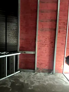 Snapshot of Hellen_111 chatting on November 11, 2025, 3:12 pm Hellen 111 online show from November 11, 2025, 3:12 pm