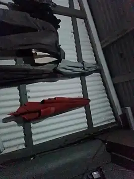 Snapshot of Algenis1232 chatting on November 4, 2025, 7:29 am Algenis1232 online show from November 4, 2025, 7:29 am