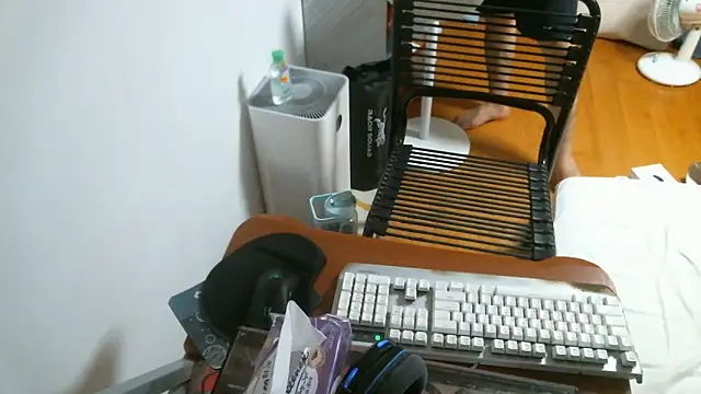 Snapshot of Stellan_0412 chatting on February 13, 2026, 5:31 pm Stellan 0412 online show from February 13, 2026, 5:31 pm