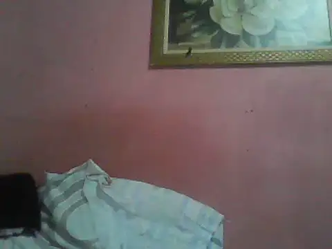 Bonecagulosa online show from June 4, 2026, 8:59 pm