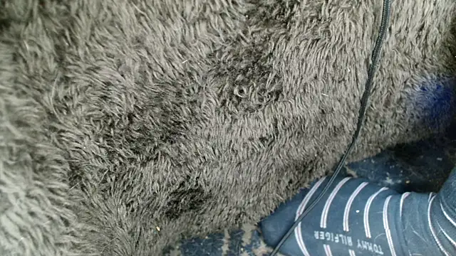 Gigadickman online show from December 13, 2024, 9:02 am