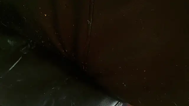 Gigadickman online show from January 2, 2025, 10:11 pm