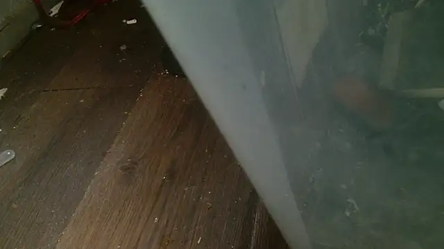 Gigadickman online show from February 27, 2025, 4:31 am