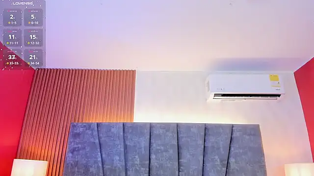 Ada  lee  online show from February 3, 2026, 2:53 am