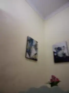 Snapshot of MaverickGray chatting on January 26, 2025, 4:41 pm MaverickGray online show from January 26, 2025, 4:41 pm