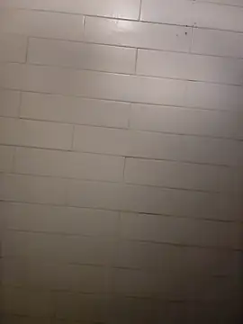 Wildherb244 online show from December 21, 2024, 2:26 pm