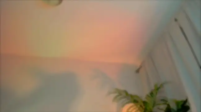  cherry bloss  online show from March 4, 2025, 12:29 am