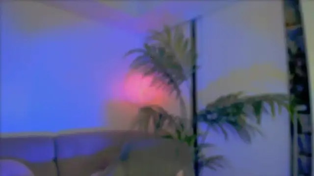  cherry bloss  online show from October 8, 2025, 2:20 am