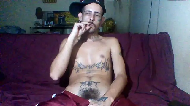 Snapshot of sellvageria chatting on February 13, 2026, 8:38 pm sellvageria online show from February 13, 2026, 8:38 pm