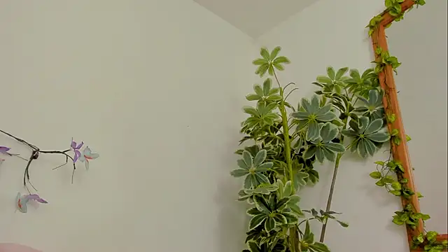 BonnieCute  online show from March 17, 2026, 11:41 pm