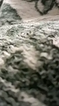 Snapshot of sokrates13 chatting on January 11, 2025, 7:38 pm sokrates13 online show from January 11, 2025, 7:38 pm