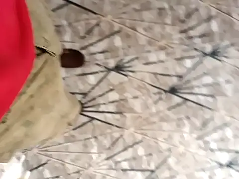 Snapshot of sokrates13 chatting on January 21, 2025, 7:15 am sokrates13 online show from January 21, 2025, 7:15 am