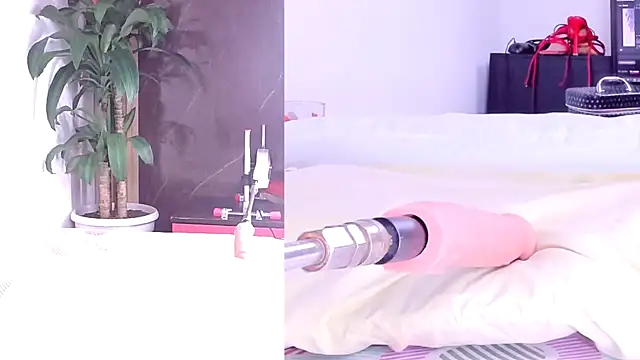 Snapshot of Sophia_Lovers01 chatting on March 2, 2026, 8:37 pm Sophia Lovers01 online show from March 2, 2026, 8:37 pm