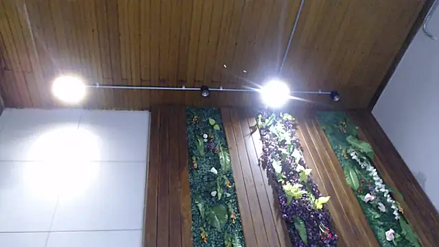 Snapshot of DrakeNeumann chatting on February 5, 2025, 11:06 pm DrakeNeumann online show from February 5, 2025, 11:06 pm