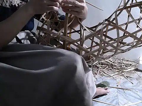 nolame18xxx online show from November 14, 2025, 11:42 am