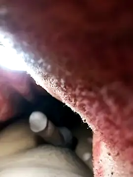 Nzfl97 online show from February 1, 2025, 10:44 pm