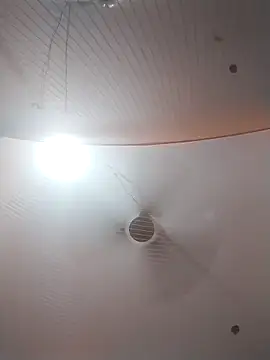 Nzfl97 online show from March 30, 2026, 4:52 pm