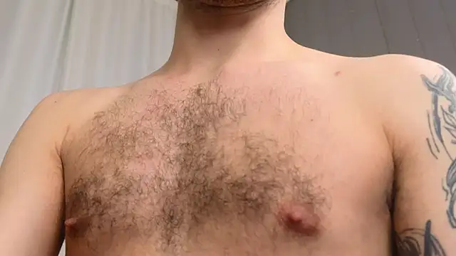 xteddy bear online show from February 27, 2025, 2:53 am