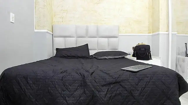 Snapshot of BruceNixon chatting on February 15, 2025, 9:04 pm BruceNixon online show from February 15, 2025, 9:04 pm