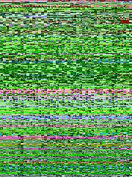 Snapshot of Bella_babei01 chatting on January 11, 2026, 11:04 am Bella babei01 online show from January 11, 2026, 11:04 am