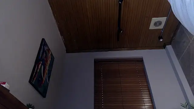 Ian Daviz online show from February 11, 2025, 10:50 pm