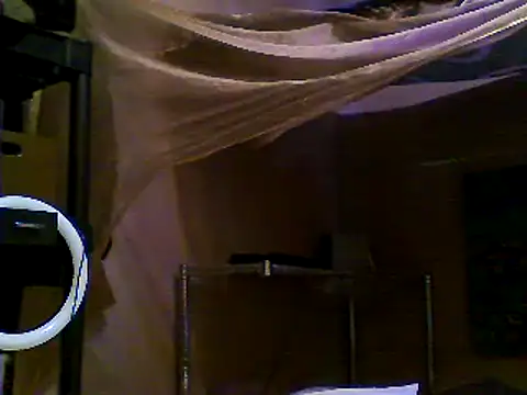 Snapshot of JdLove1 chatting on December 31, 2024, 7:40 pm JdLove1 online show from December 31, 2024, 7:40 pm