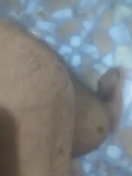 Sunnyboy7897 online show from March 9, 2026, 10:47 pm