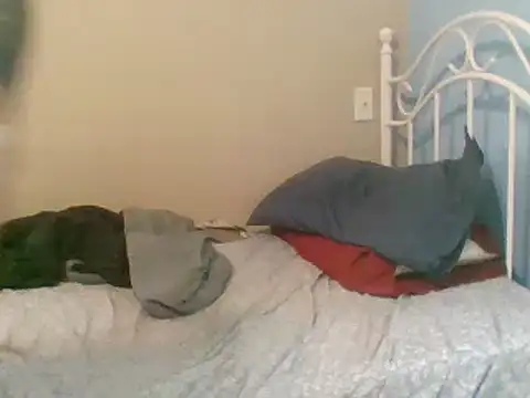 Snapshot of SmokingSloth chatting on March 9, 2025, 5:06 pm SmokingSloth online show from March 9, 2025, 5:06 pm