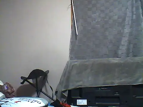 Snapshot of SmokingSloth chatting on December 5, 2025, 12:25 pm SmokingSloth online show from December 5, 2025, 12:25 pm