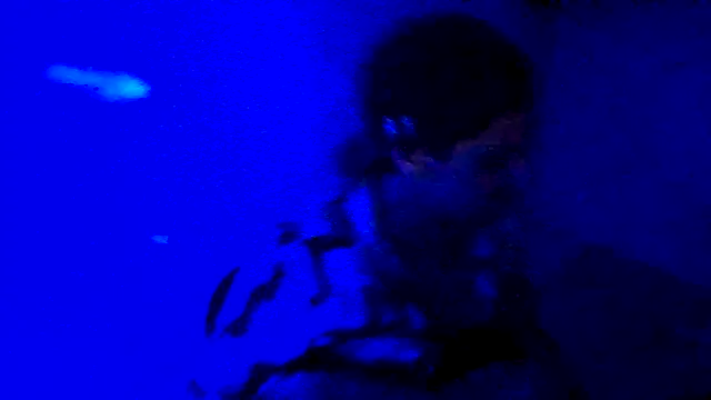 couplemilk online show from April 6, 2026, 4:10 am