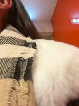 beautydiamond online show from January 20, 2025, 10:51 am