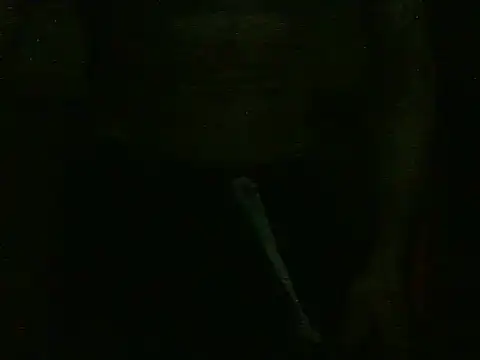 dangerman94 online show from October 22, 2025, 2:34 am