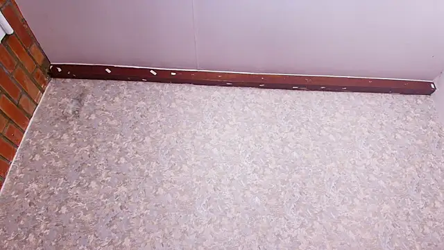 nicol f online show from February 5, 2025, 1:26 am