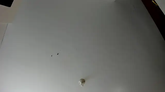 Snapshot of evely_coelloo chatting on November 5, 2025, 4:07 pm evely coelloo online show from November 5, 2025, 4:07 pm