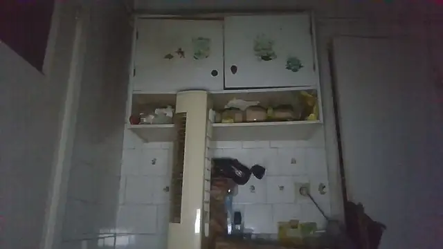 Snapshot of mariusica1@xh chatting on March 13, 2026, 4:08 am mariusica1xh online show from March 13, 2026, 4:08 am