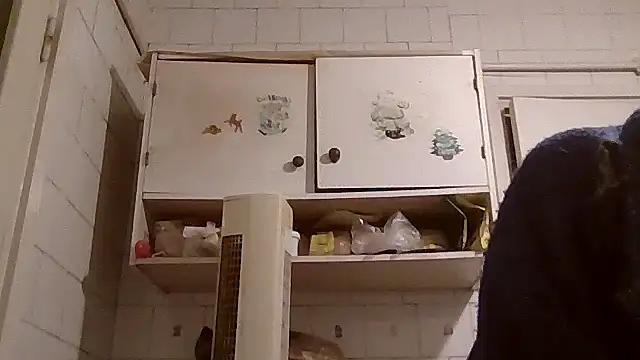 Snapshot of mariusica1@xh chatting on April 14, 2026, 7:31 pm mariusica1xh online show from April 14, 2026, 7:31 pm