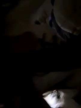 Snapshot of Sweet-Angel999 chatting on November 30, 2025, 5:28 pm Sweet-Angel999 online show from November 30, 2025, 5:28 pm