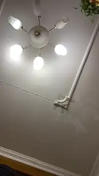 Snapshot of shuai321 chatting on December 15, 2024, 1:43 pm shuai321 online show from December 15, 2024, 1:43 pm