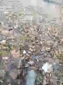 Snapshot of Nik888Nik888 chatting on January 9, 2025, 8:03 am Nik888Nik888 online show from January 9, 2025, 8:03 am