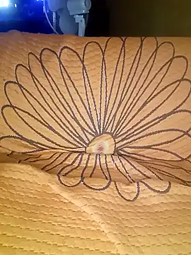 Snapshot of Professor_Leo_ chatting on November 30, 2025, 7:12 am Professor Leo online show from November 30, 2025, 7:12 am