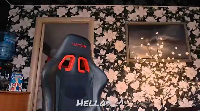 Snapshot of BroadFantasy chatting on December 7, 2024, 7:49 am BroadFantasy online show from December 7, 2024, 7:49 am