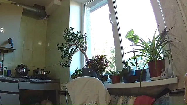 Snapshot of BroadFantasy chatting on September 11, 2025, 1:22 pm BroadFantasy online show from September 11, 2025, 1:22 pm