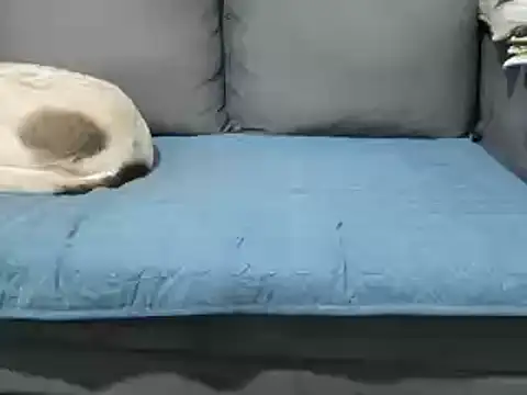 4small4inchlol online show from February 20, 2025, 12:15 pm