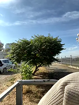 SandraCarter online show from September 18, 2025, 6:04 am