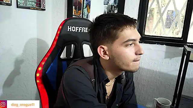 Snapshot of DiegoRogue_ chatting on March 12, 2025, 10:07 pm DiegoRogue online show from March 12, 2025, 10:07 pm