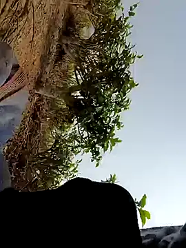 Queen suman online show from March 21, 2026, 7:24 am