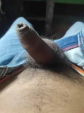 iaparna online show from November 6, 2025, 7:42 am